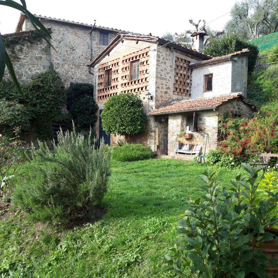 Appartement Orto Dei Bruchi à Collodi Extérieur photo
