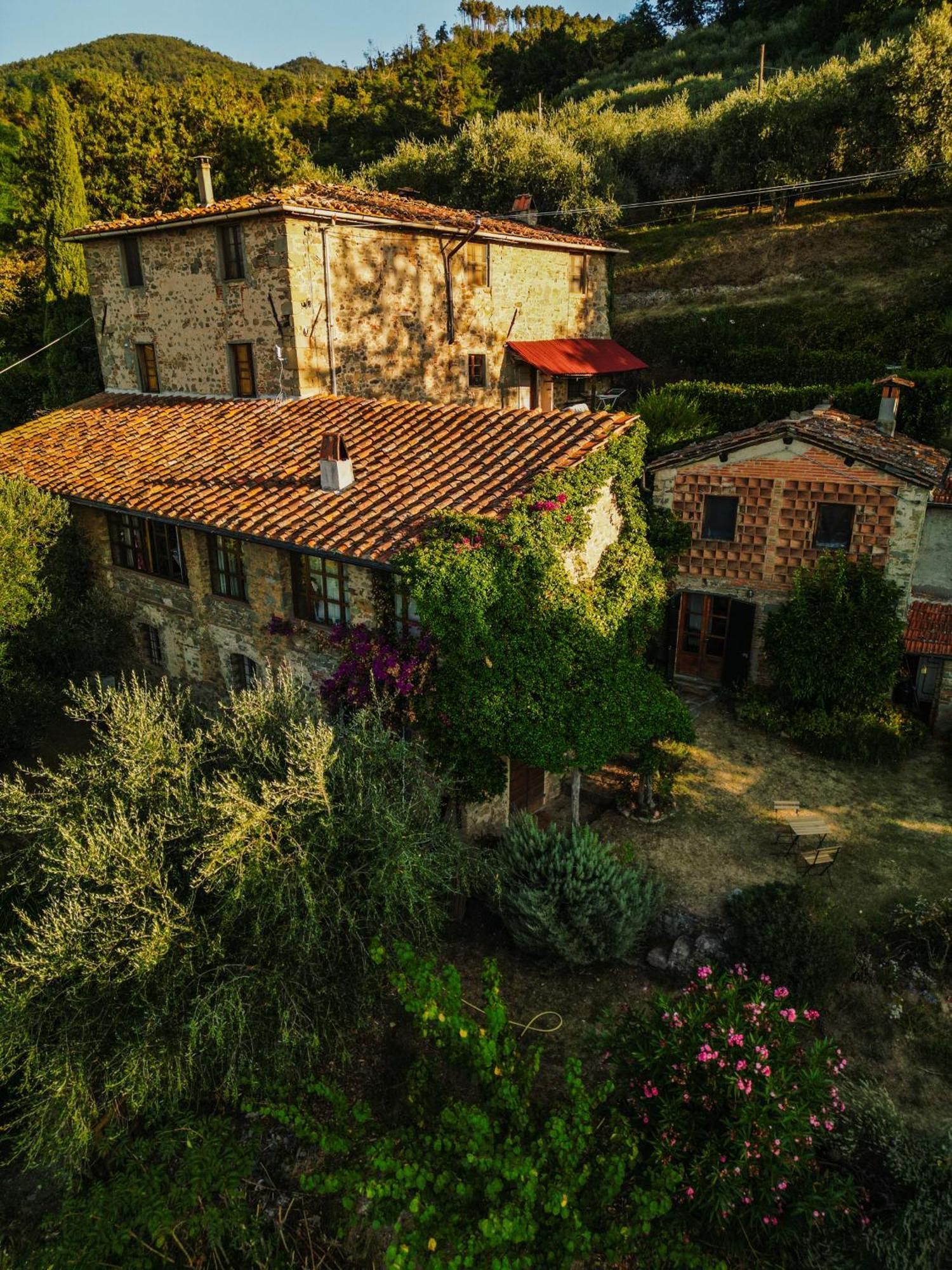 Appartement Orto Dei Bruchi à Collodi Extérieur photo